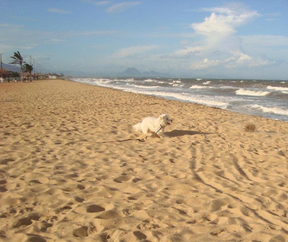 Casa De Praia - Verao Vermelho I - Cabo Frio - Unamar Kültér fotó